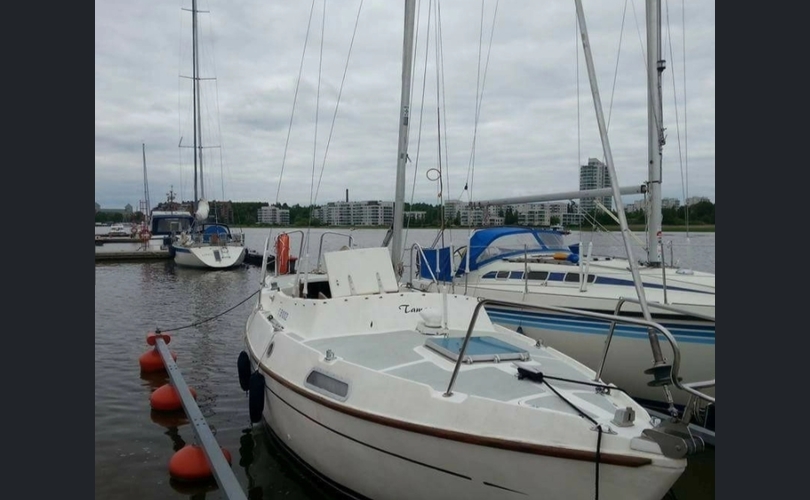 Tamarisk Tamar-kuva-1